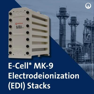 E-Cell MK-9 EDI Stack для производства воды высокой чистоты с диапазоном потока 18,5-44,0 GPM и без химической регенерации в нержавеющей стали