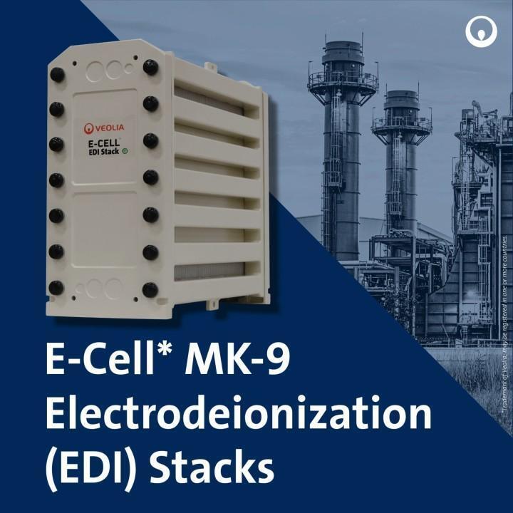 E-Cell MK-9 EDI Stack для производства воды высокой чистоты с диапазоном потока 18,5-44,0 GPM и без химической регенерации в нержавеющей стали