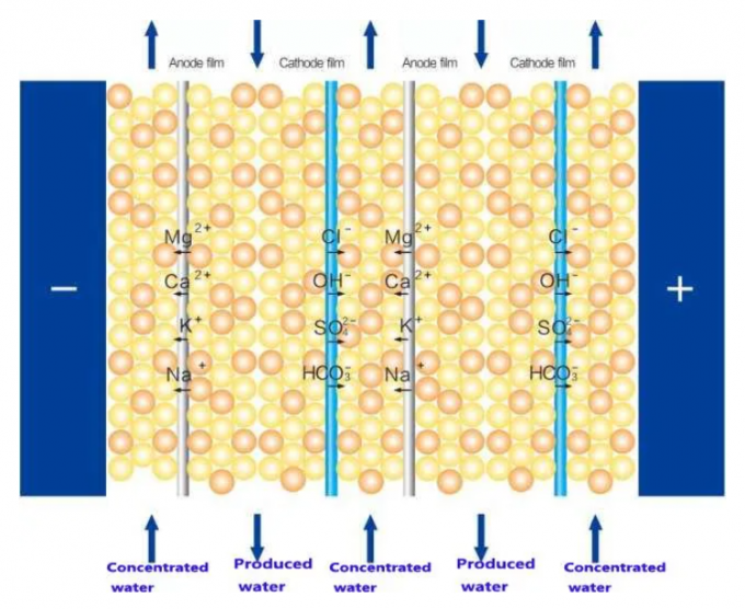 Двойной проход RO 1500L/H EDI Ультрачистый водяной станок для промышленности 1