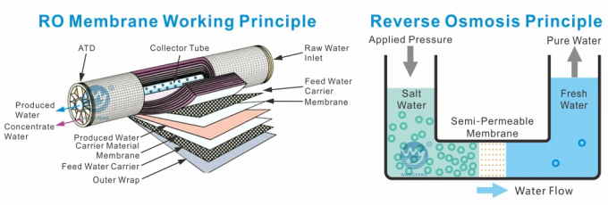 5TPH 7,4 кВт-380-415В 2xSS304 Танки Соленая вода Водопровод с обратным осмосом 0