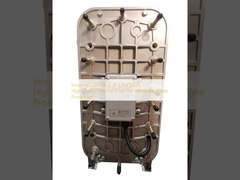 Ionpure CEDI LX-Z IP-LXM18Z-5 Высокий поток, без химических веществ для производства сверхчистой воды